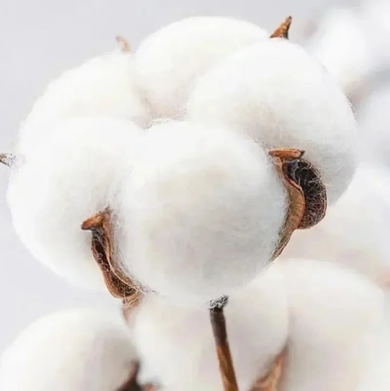 Devil Fruit Anime T-Shirt – Monkey D. Luffy Gear 5